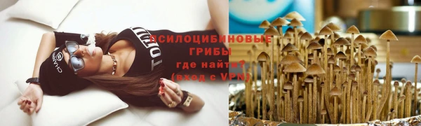 прущий лед Армянск